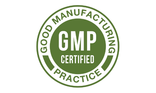 Vision 20 gmp certified