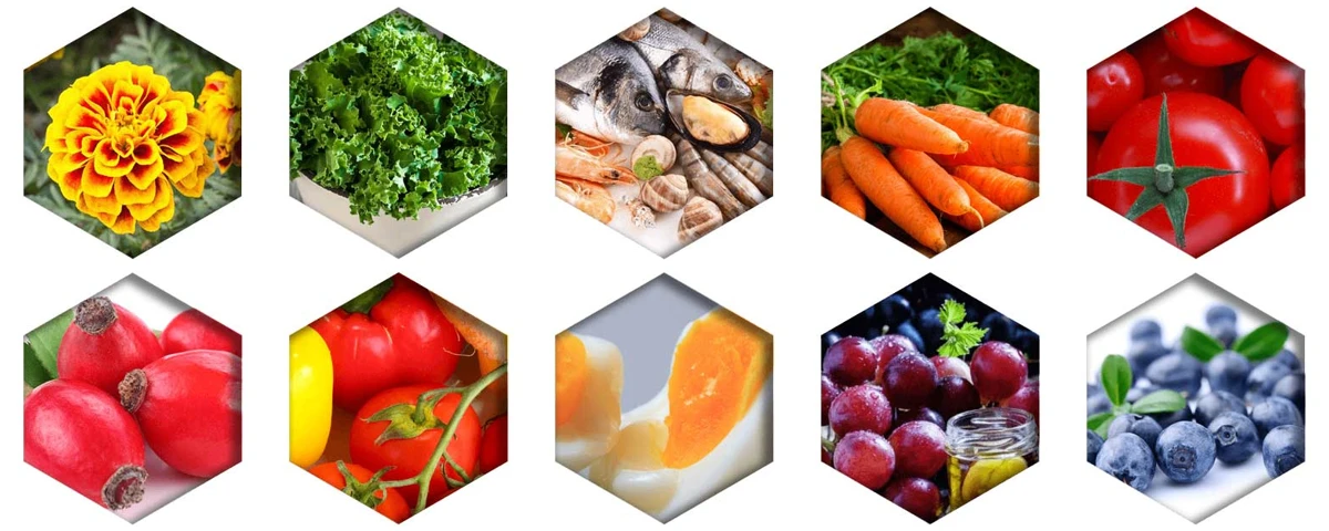 Vision 20 ingredients